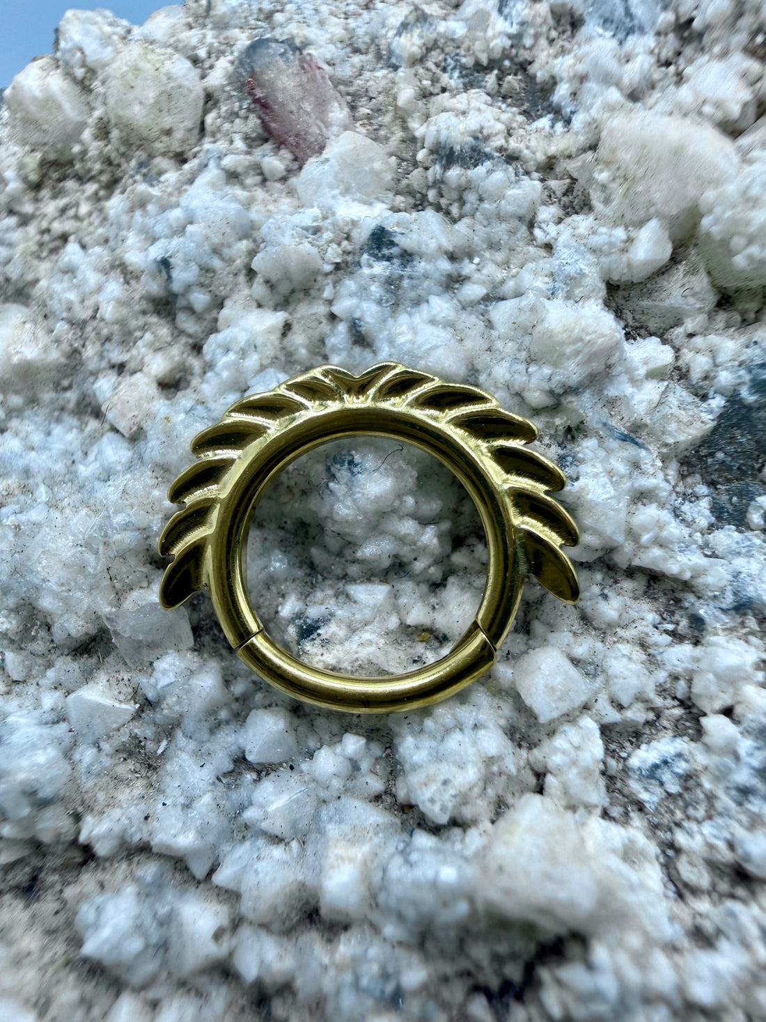 Ring/Clicker Titan 1.2mm mit Flügeln 8mm