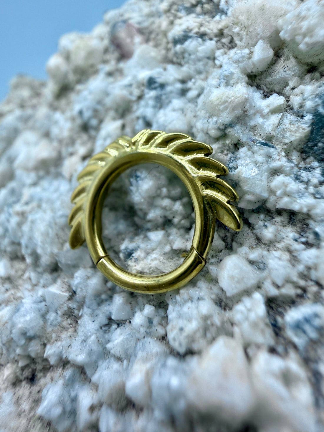 Ring/Clicker Titan 1.2mm mit Flügeln 8mm