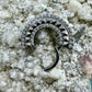 Ring/Clicker Titan 1.2mm Oriental mit Zirkonia 8mm