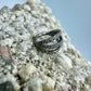 Ring/Clicker Titan 1.2mm dreifach mit Zirkonia Außenseite 8mm