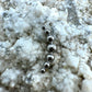 Labret Titan 1.2mm mit Sichel-Dots 8mm